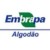 Group logo of EMBRAPA Algodão